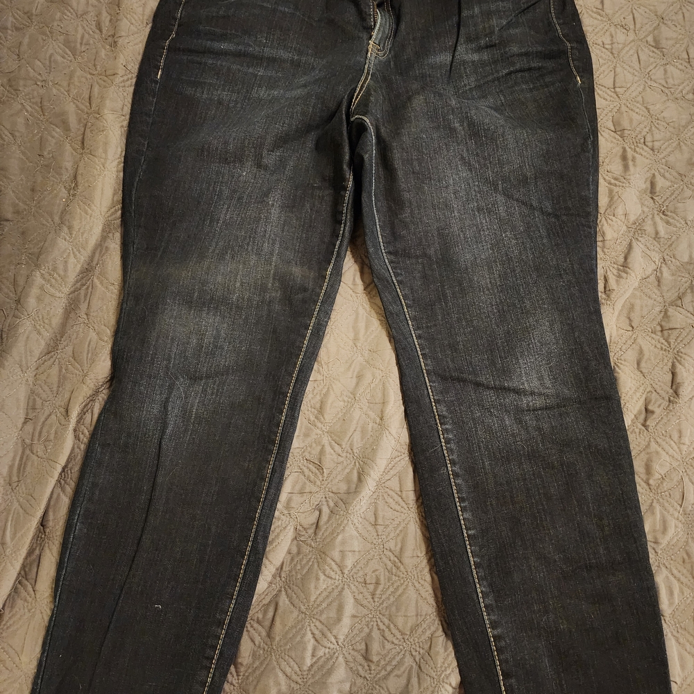 Lane Bryant Blue Skinny Jeans